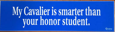 My ___ is Smarter Than Your Honor Student Bumper Sticker