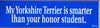 My ___ is Smarter Than Your Honor Student Bumper Sticker