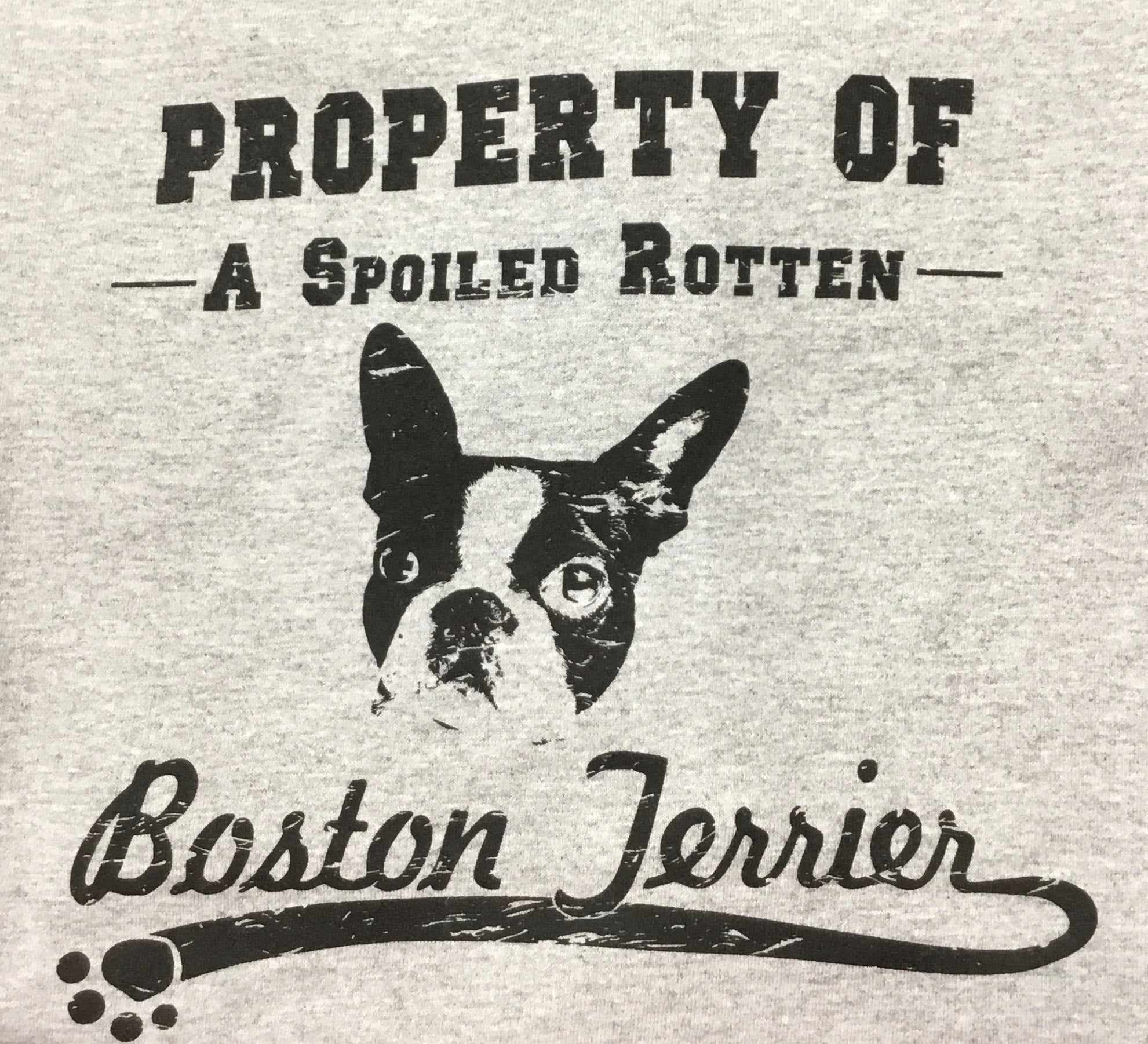 Boston Terrier Tee Shirt - Property of a Spoiled Rotten