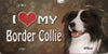 Border Collie License Plate - I Love My