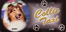 Collie License Plate - Taxi