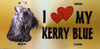 Kerry Blue Terrier License Plate - I Love My