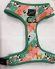 Adjustable Dog Harness - Teal Pups At Play Large