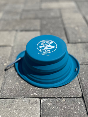 Collapsible Water Bowl