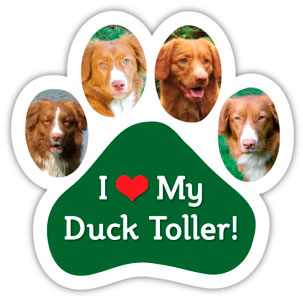 I Love My Duck Toller Car Trunk Paw Magnet