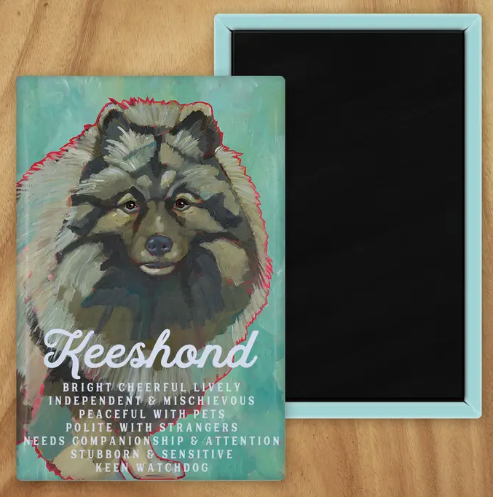 Behold our classic Keeshond Magnet, meticulously reproduced from an original oil painting by the renowned artist Ursula Dodge. This exquisite 2