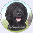 Labradoodle, Black Car Coaster