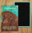 Labrador Chocolate Magnet UD