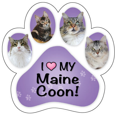Maine Coon Cat Paw Car Trunk Magnet