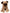 Pug Plush Dog Stuffed Animal 