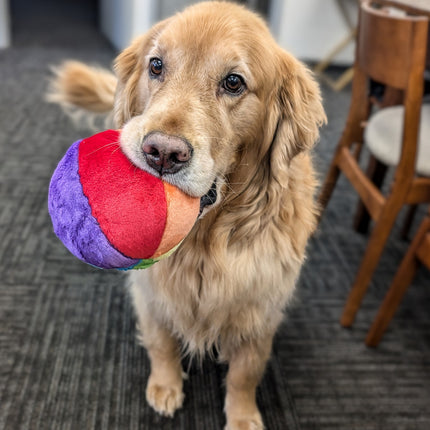 Dog Toy Mini Beach Ball Ultra-Plush Tuff Dog Toy