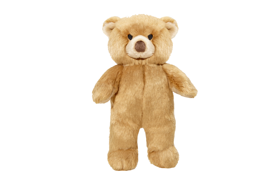 Mr Honey Bear Tuff Dog Toy