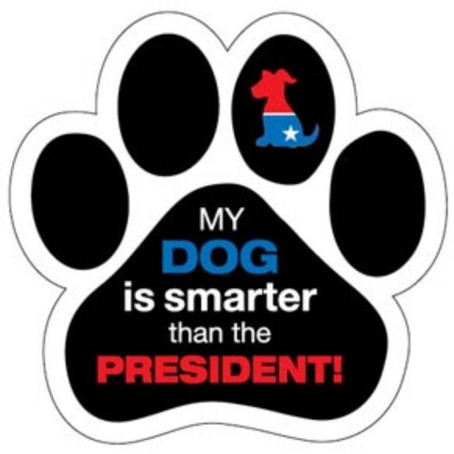 My dog is Smarter than the President Paw Car Trunk Magnet