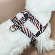 Old Glory Dog Harness