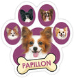 Papillon Paw Car Trunk Magnet