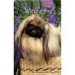 Pekingese (Welcome) Large Flag