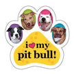 Pitbull Paw Car Trunk Magnet