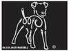 Jack Russell Terrier K-line Window Tattoo