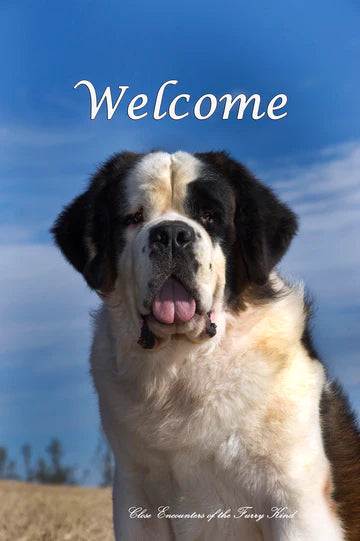 Saint Bernard Welcome Garden Flag