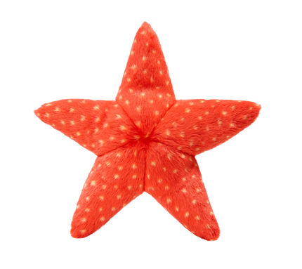 Ziggy Starfish Tuff Dog Toy