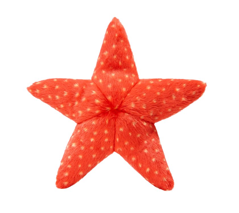 Ziggy Starfish Tuff Dog Toy