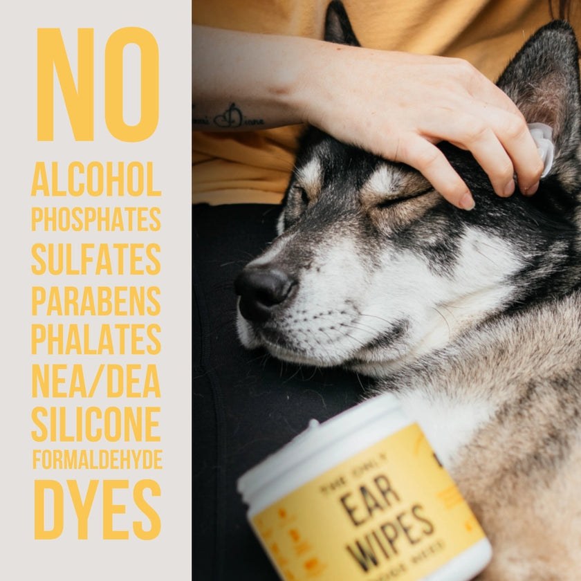 The Only Ear Wipes Dogs Need 100ct
