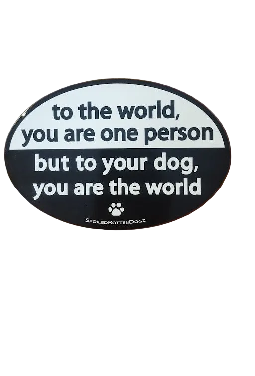 To Your Dog, You Are The World Oval Magnet