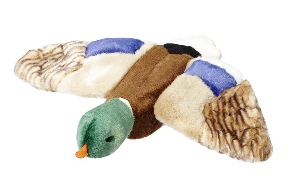 Wally the Mallard Dog Toy