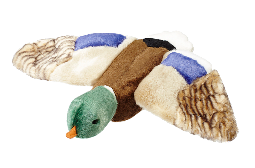 Wally the Mallard Dog Toy