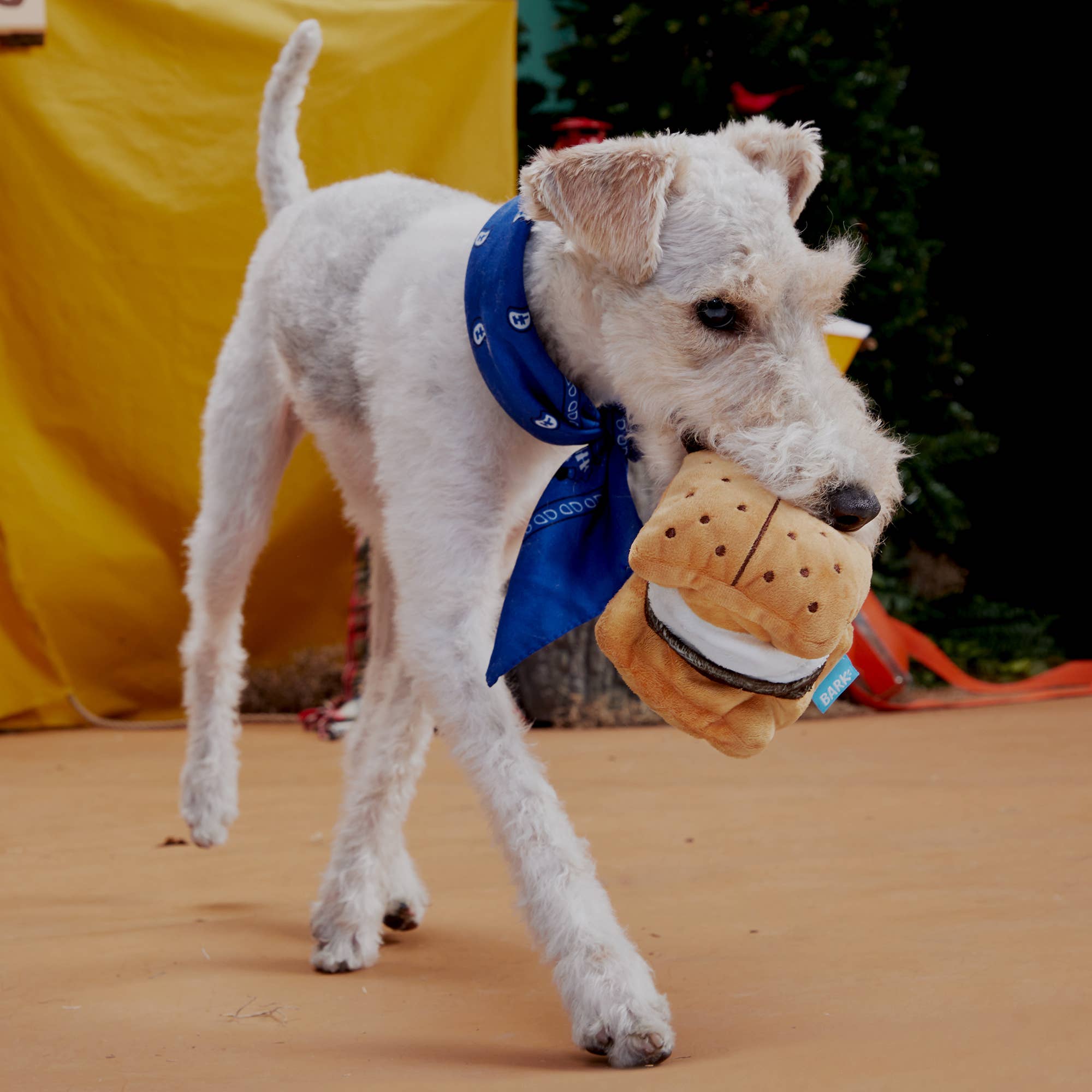 BARK More S'mores Plush Dog Toy