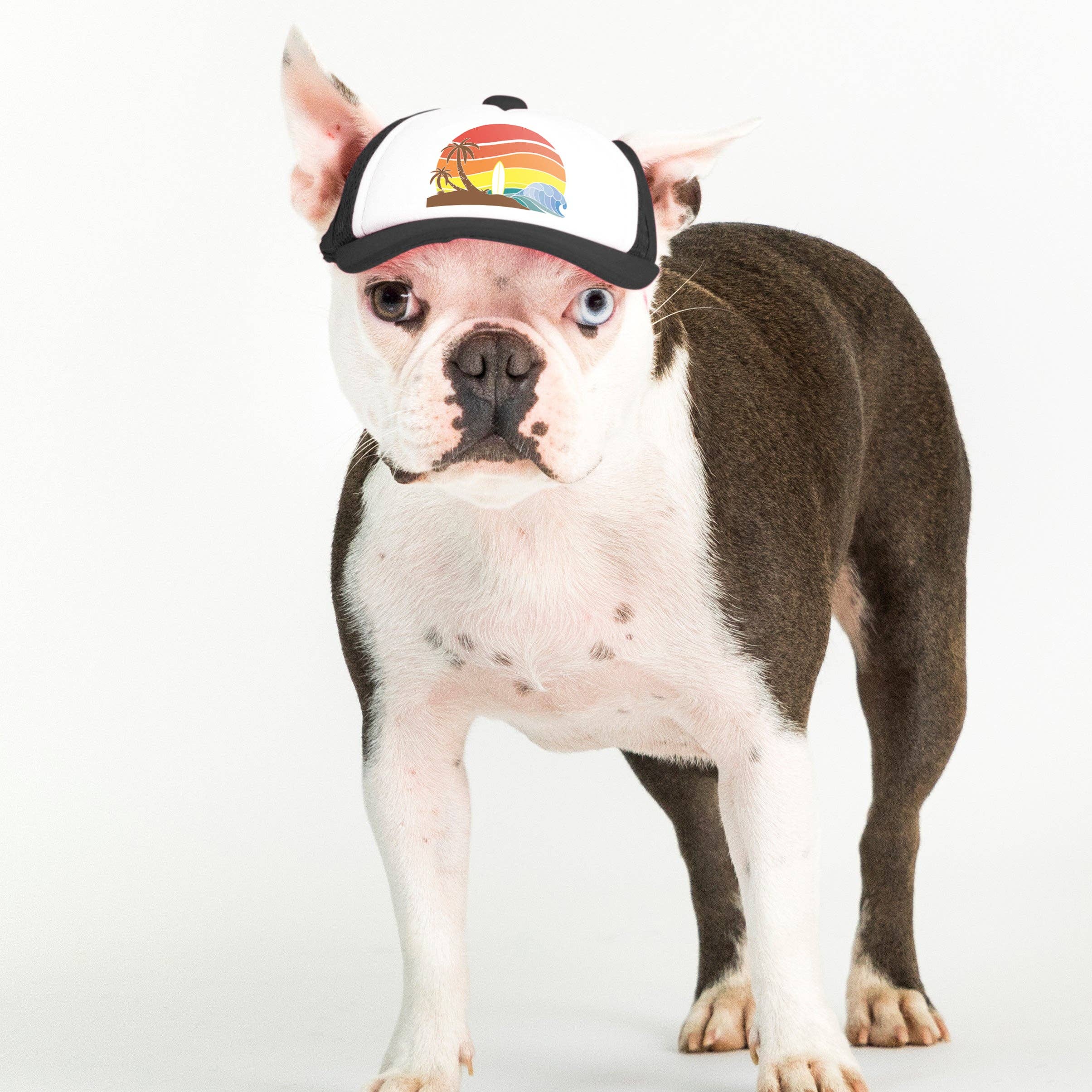 Trucker Hat for Dogs/Cats: Island Sunset Red / L
