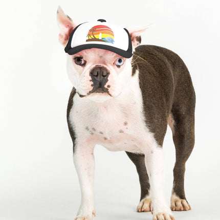 Trucker Hat for Dogs/Cats: Island Sunset Black/XS