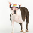 Trucker Hat for Dogs/Cats: Island Sunset Black / S
