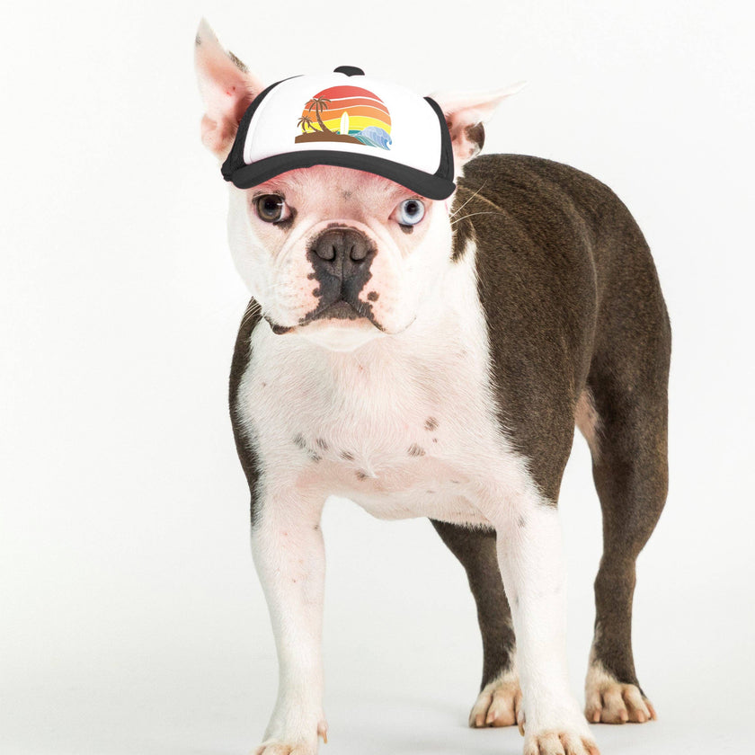 Trucker Hat for Dogs/Cats: Island Sunset Black / S