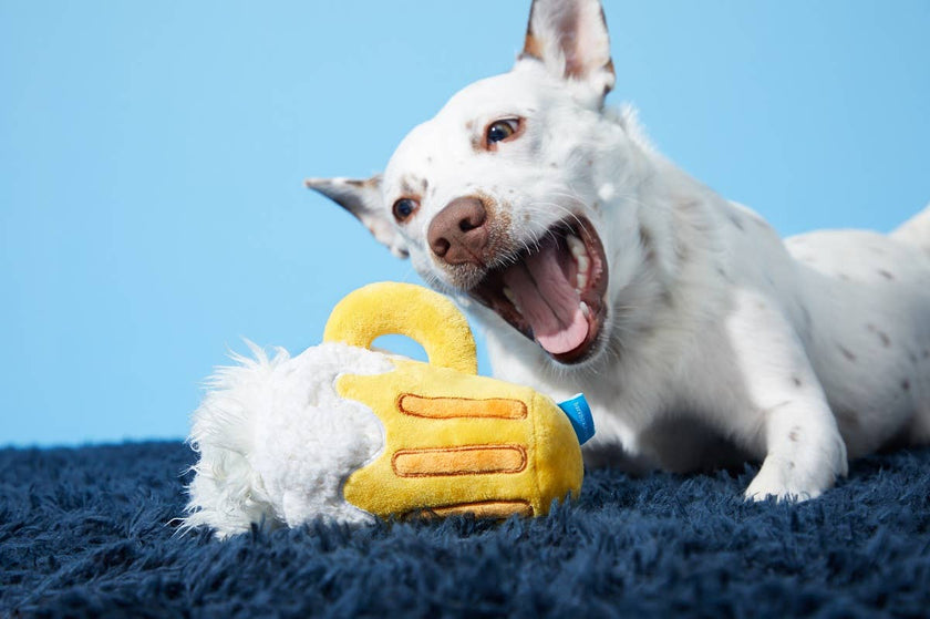 BARK Hair of the Dog Toy