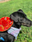 Hat for Cat or Dog Mini Mariachi Hat