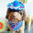 Hat For Cat or Dog Mariachi Hat