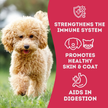 Duck & Cranberry Soft Dog Treats: Chewy & All-Natural