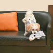 Dog Toy Mini Opossum Flattie Animals Plush Toy