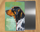 Coonhound (Bluetick) -UD Metal Sign