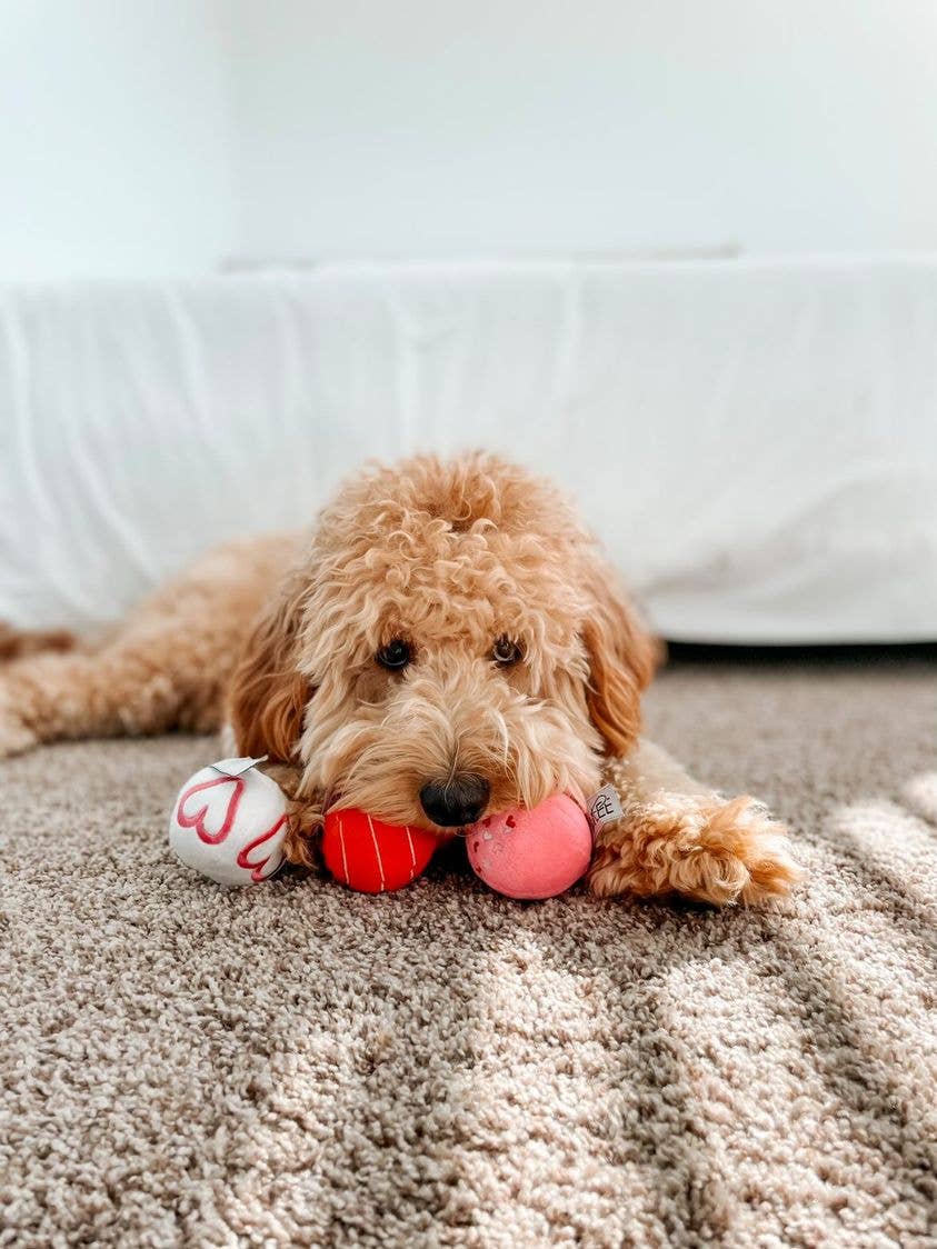 Valentine Plush Ball Dog Toy Single Assorted