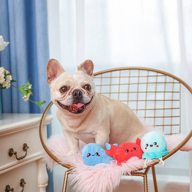 Dog Toy Sea Creatures Crab, Jellyfish and Whale Ocean Plush Toy Set