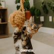 Cat Toy Made Of Coconut Rope CocoBall Toy