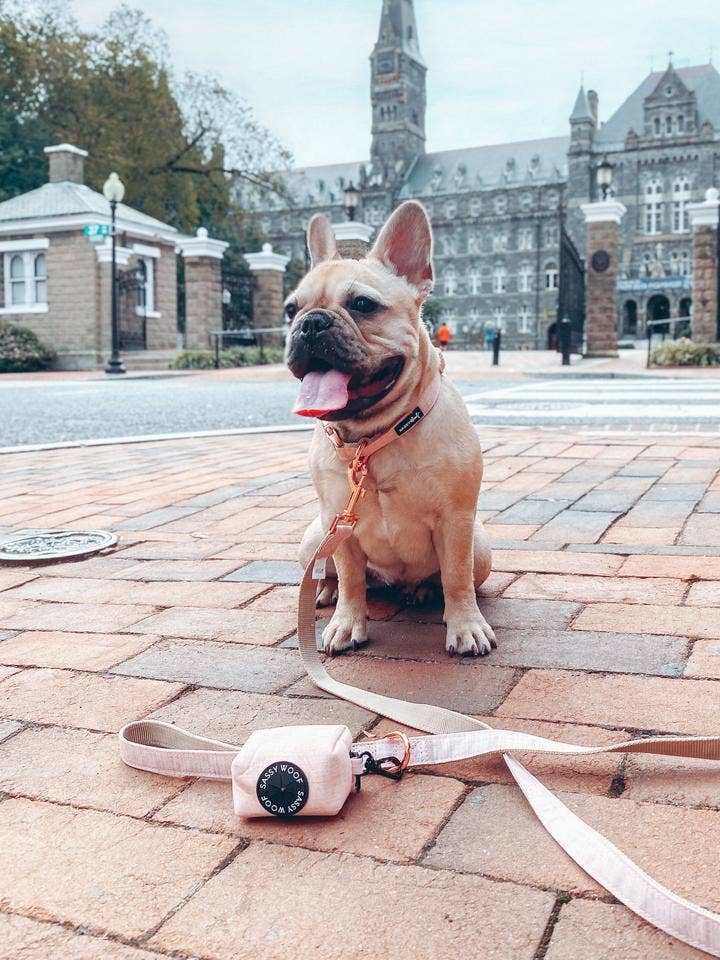 Dog Waste Bag Holder Pinot With Clasp