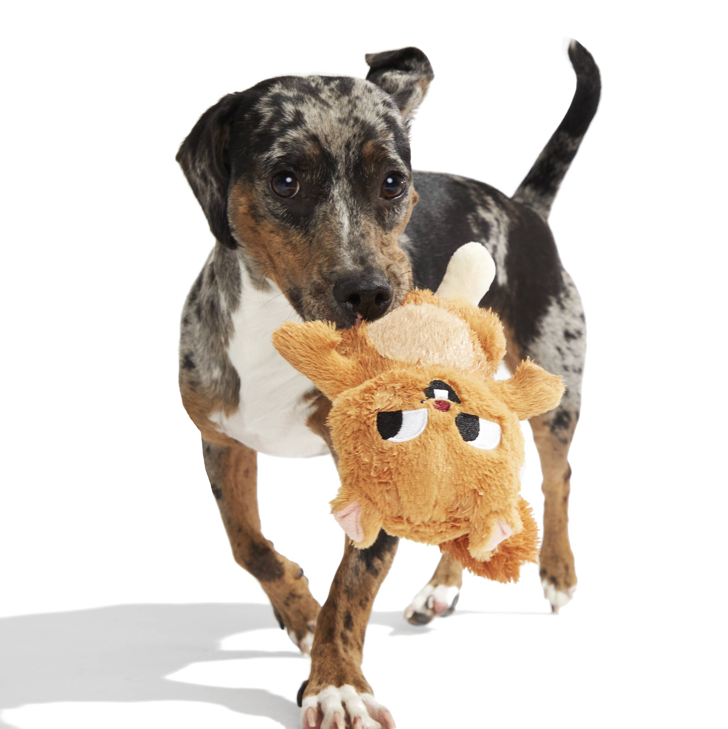 BARK Pearl Squirrel Plush Dog Toy