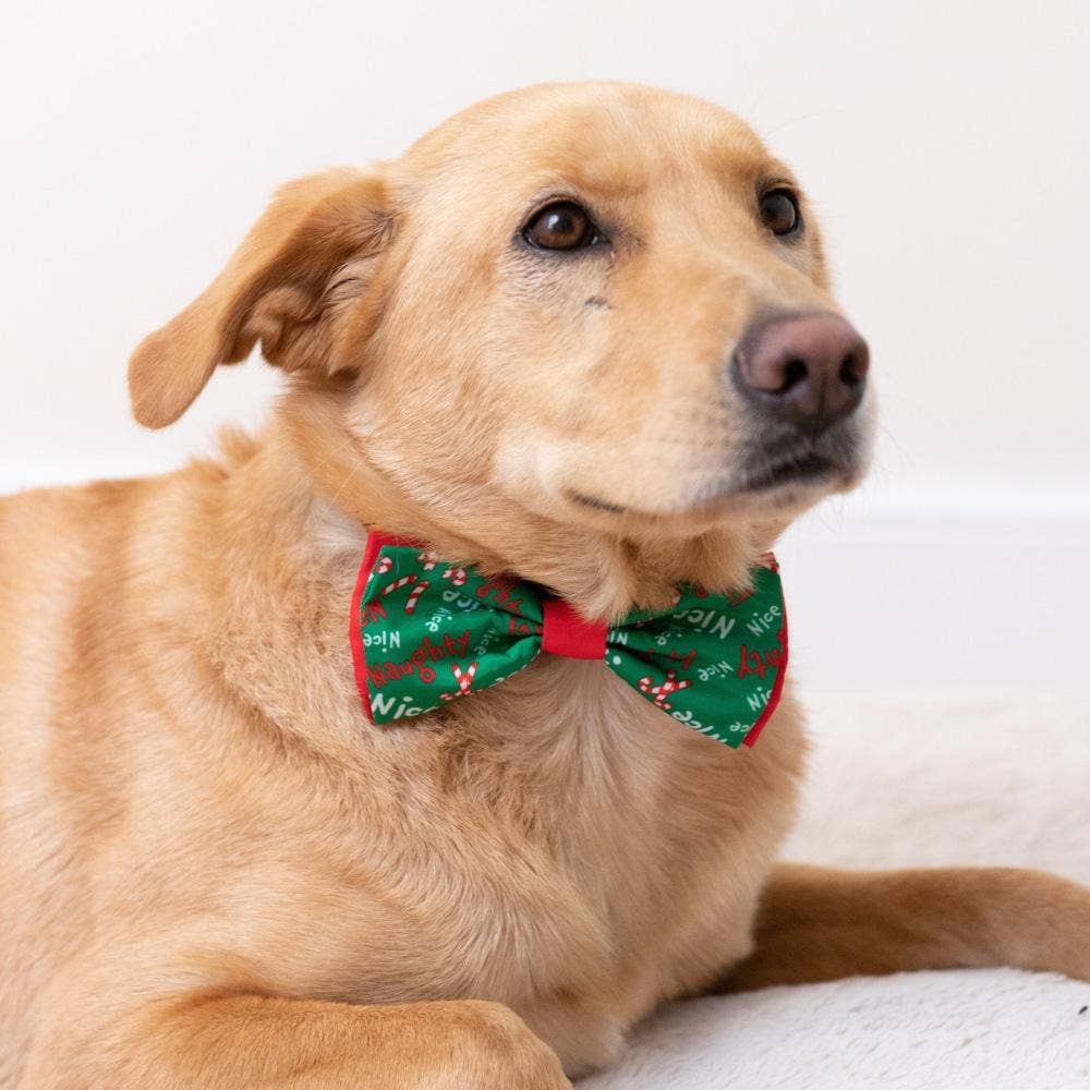 H&K Bow Tie Naughty & Nice