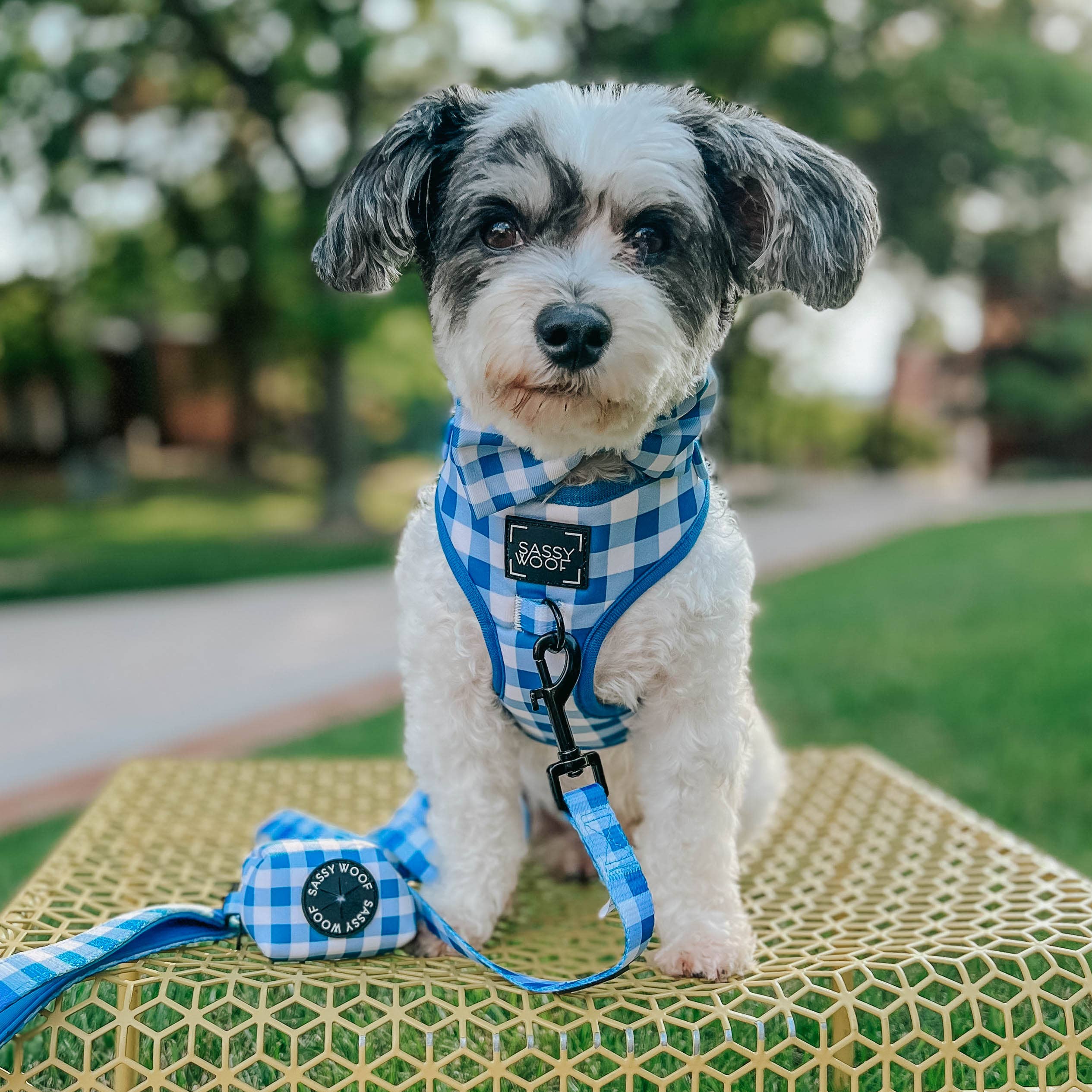 Dog Waste Bag Holder Wizard of Paws With Clasp