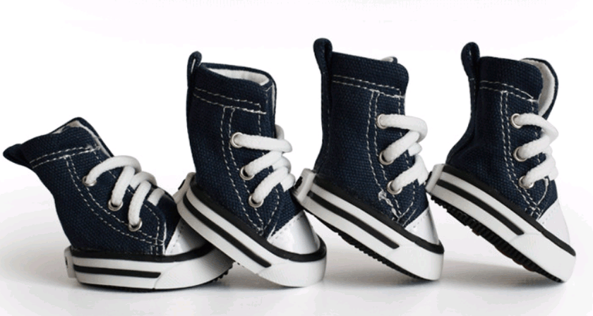 Stylish Denim Canvas Dog Shoes: Trendy, Waterproof, and Non-Slip