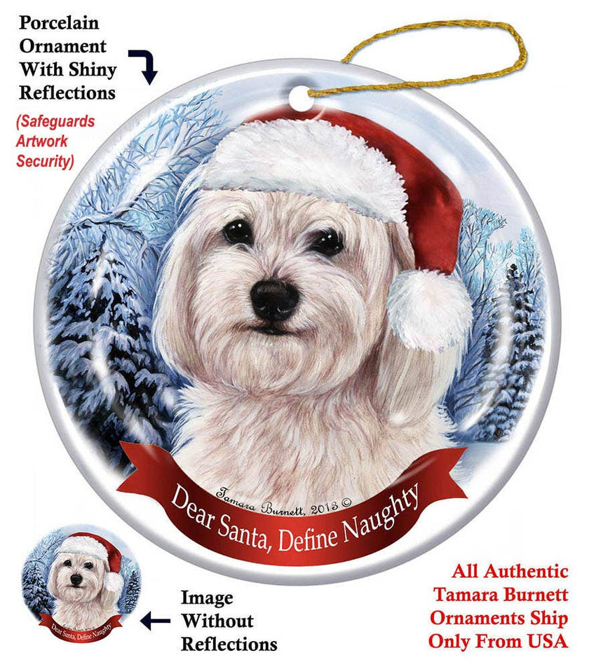 Havanese White Santa Hat Dog Porcelain Ornament