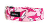 She Sharks Dog Collar